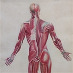 Macnamara Family Papers